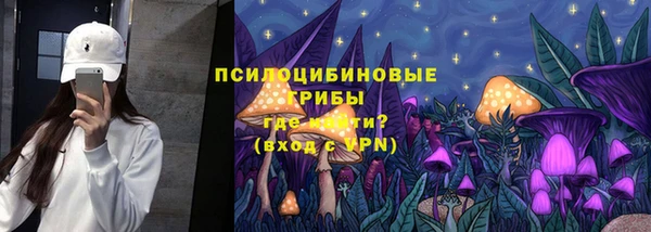 амф Верхний Тагил