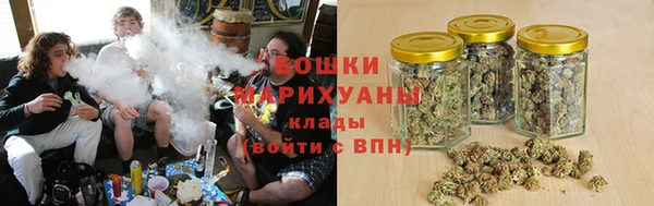 винт Верея