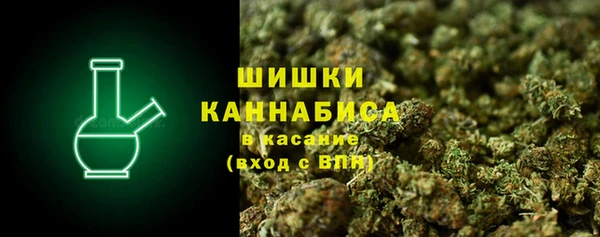 винт Верея