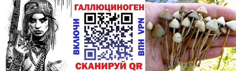 Купить  Котлас  Псилоцибиновые грибы прущие грибы 